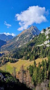 Vrtača - slikano iz Zeleneice