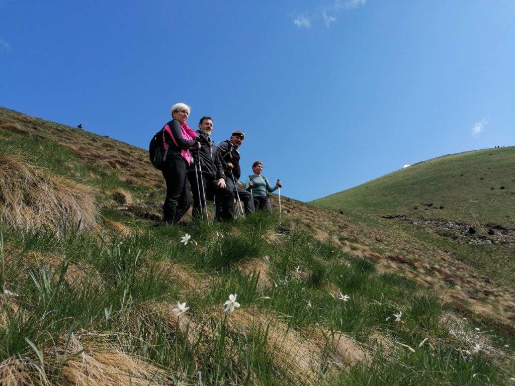 Poročilo s planinskega izleta na Golico