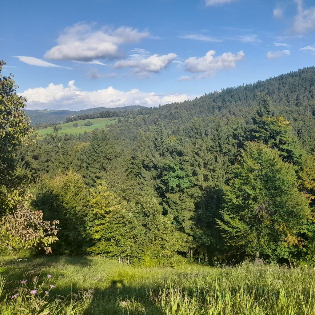 Vabilo – Pohod Vrh Zale (899 m)