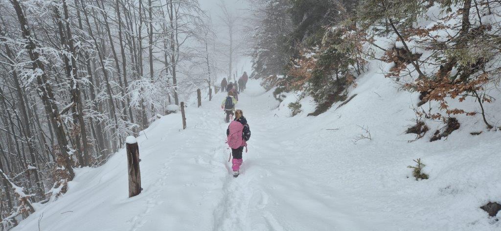 Pohod - koča na Blegošu - PŠ Javorje