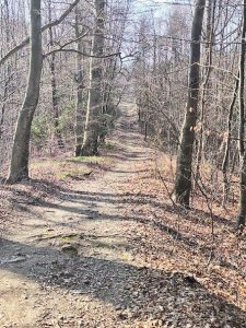 Vabilo – Tolsti vrh – Celjska koča