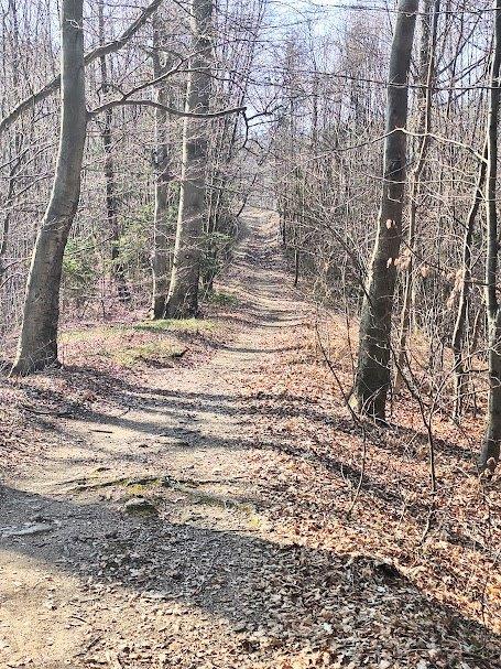Vabilo – Tolsti vrh – Celjska koča