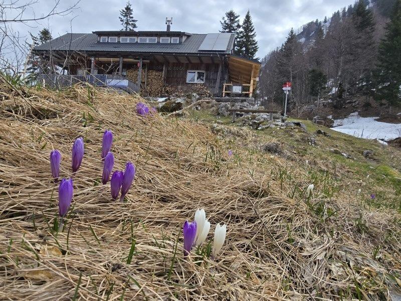 Srečanje vodnikov in mentorjev pri Orožnovi koči, 12. april 2026

