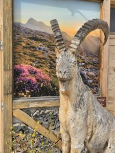 Srečanje vodnikov in mentorjev pri Orožnovi koči, 12. april 2026
