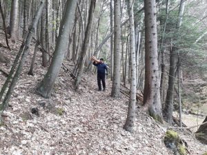 Viadukt Ogradi