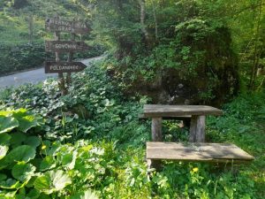 Po stari poti na razglednik nad dolino Idrijce