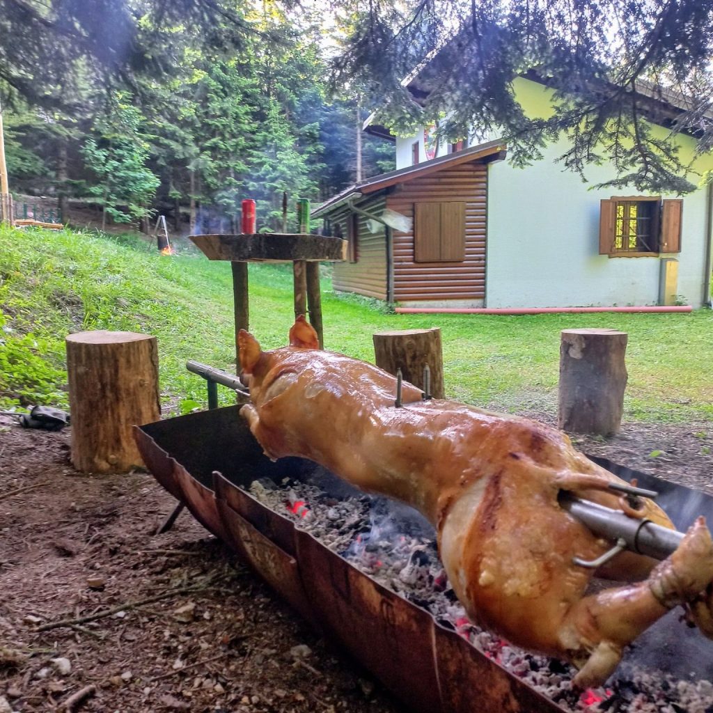 Zakljucek Prijatelji Jelenc