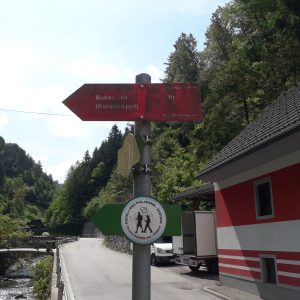 planinska pot Hotovlja - Bukov vrh zaradi vetroloma začasno ZAPRTA