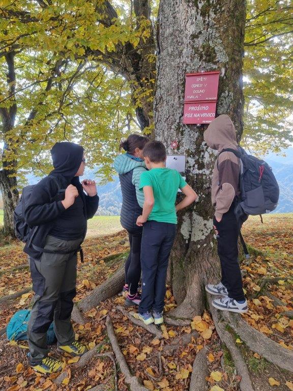 POhod OŠ Gorenja vas na Osolnik